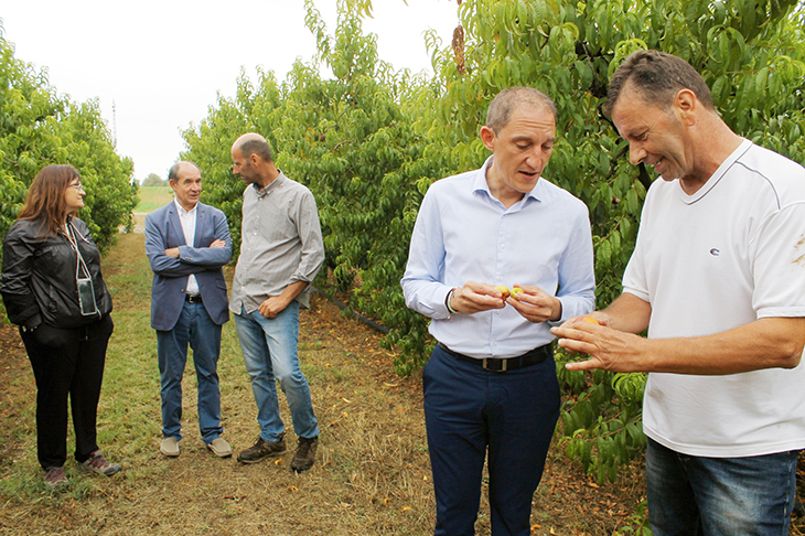 fruita per les gelades de l'abril