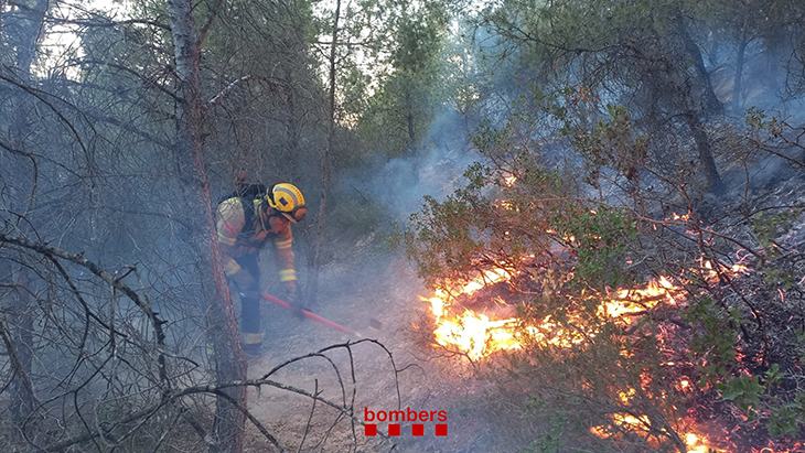 Estabilitzat l'incendi forestal de la Franja, que afecta Mequinensa, la Granja d'Escarp i Seròs