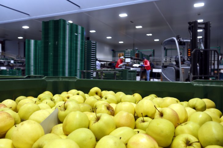 El sector agrícola català recela de l'acord aranzelari que dona "accés preferencial" a productes dels Estats Units