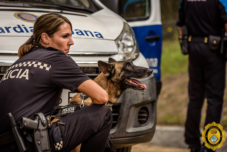 La policia de Lloret troba 38 dosis de droga i caixes de gas nitrós en un cotxe gràcies a l'olfacte del gos detector
