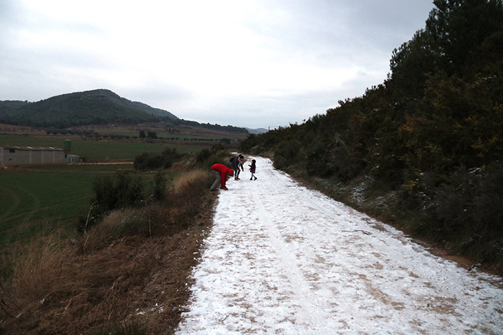 Cauen flocs de neu en diversos municipis de la Conca de Barberà i l'Alt Camp