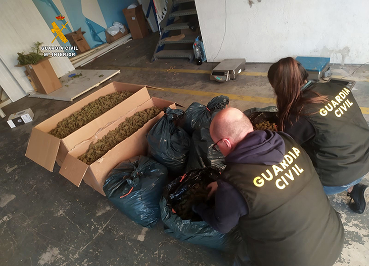 Desmantellen una plantació de marihuana amb prop de 5.000 plantes en dues naus industrials de Constantí