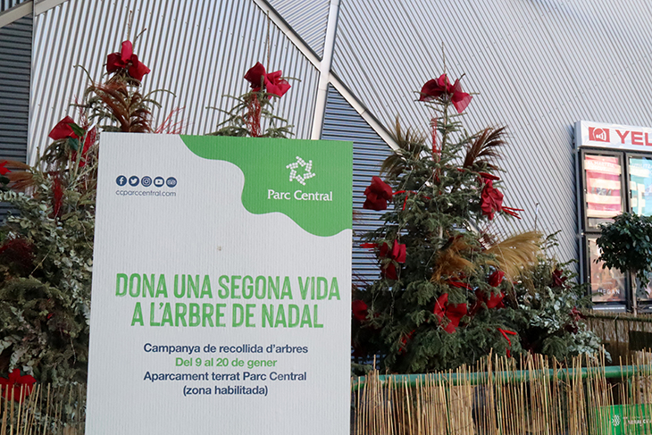 L'Ajuntament de Tarragona donarà una "segona vida" a una setantena d'arbres naturals utilitzats durant el Nadal