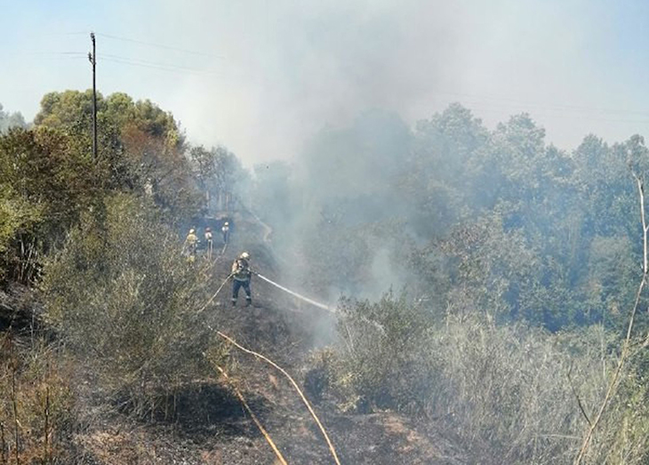 Els Bombers estabilitzen l'incendi que ha cremat dues hectàrees de matolls a Valls