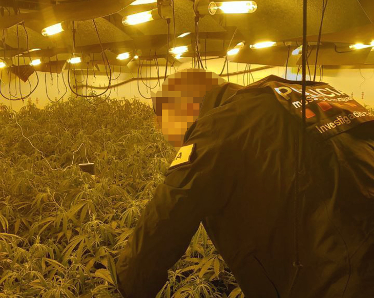 Desmantellen una plantació de marihuana amb un miler de plantes en una nau industrial de Tarragona