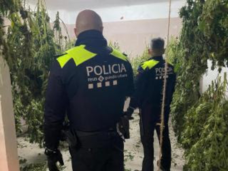 Tres detinguts a Reus que assecaven marihuana en un local del barri Gaudí