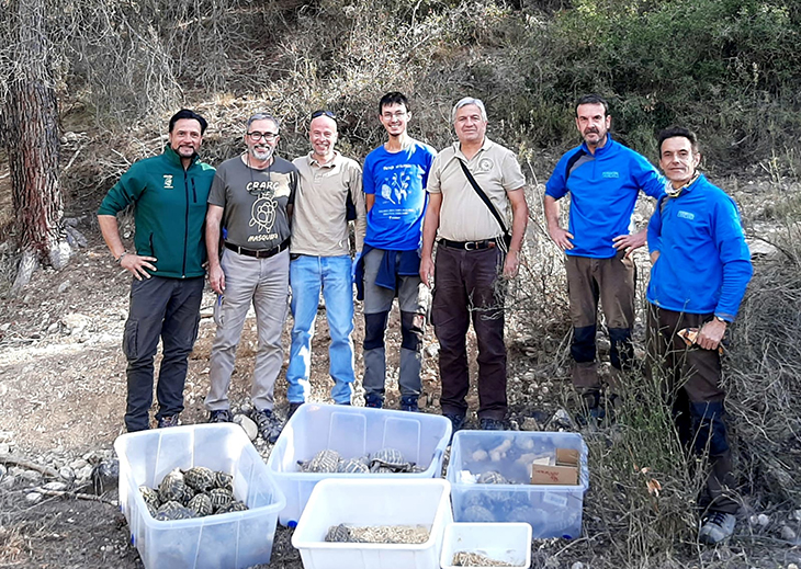 Alliberades una seixantena de tortugues mediterrànies al Parc Natural de la Serra de Montsant
