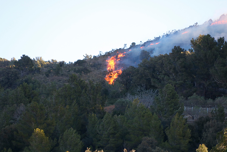 Els Bombers donen per extingit l'incendi de la Selva del Camp que ha cremat unes 19 hectàrees