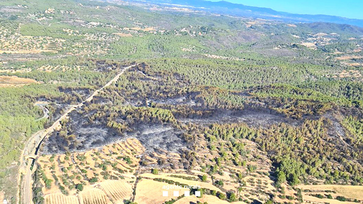 Extingit l'incendi de Vespella de Gaià, que ha afectat 40 hectàrees després de gairebé una setmana de cremar