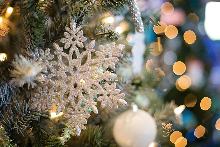 L’Ajuntament de la Canonja instal·larà un màstil de 12.481 euros per suportar un arbre de Nadal “de grans dimensions”