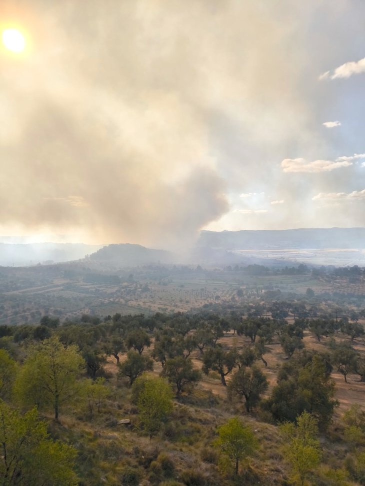 L'incendi iniciat a Aragó que ha saltat a Catalunya afecta 2,5 hectàrees a Horta de Sant Joan
