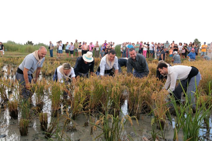 Ordeig fa una crida a societat i sector primari per sumar esforços a la Festa de la Sega de l'Arròs de Deltebre