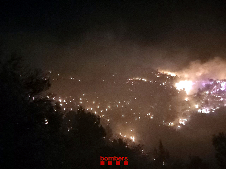 Un incendi forestal afecta unes 30 hectàrees de vegetació a Tortosa
