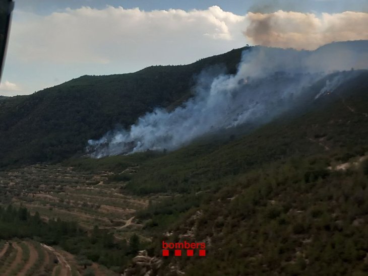 L'incendi forestal a la Pobla de Massaluca afecta unes sis hectàrees, segons els Agents Rurals