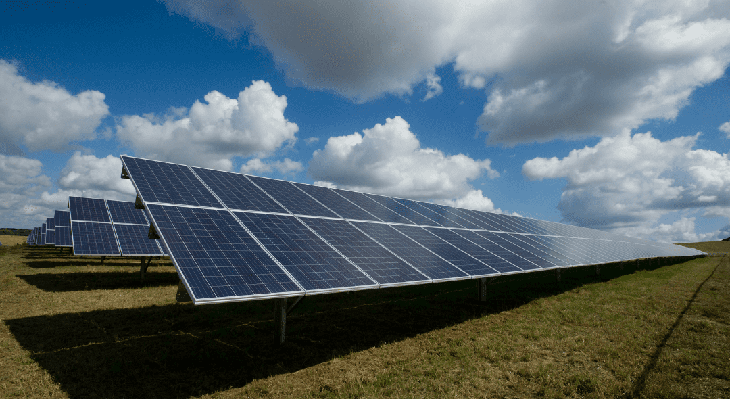 El GEPEC denuncia la instal·lació d'un parc fotovoltaic a Valls en una zona on hi habita un ocell en perill d'extinció